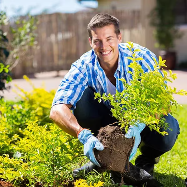 đ„â°Last Day Surprise Price: Buy 1 Get 1 Freeđ„Soil Improvement Loosening Agentđ„